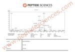 IGF-1 LR3 1mg - Image 4